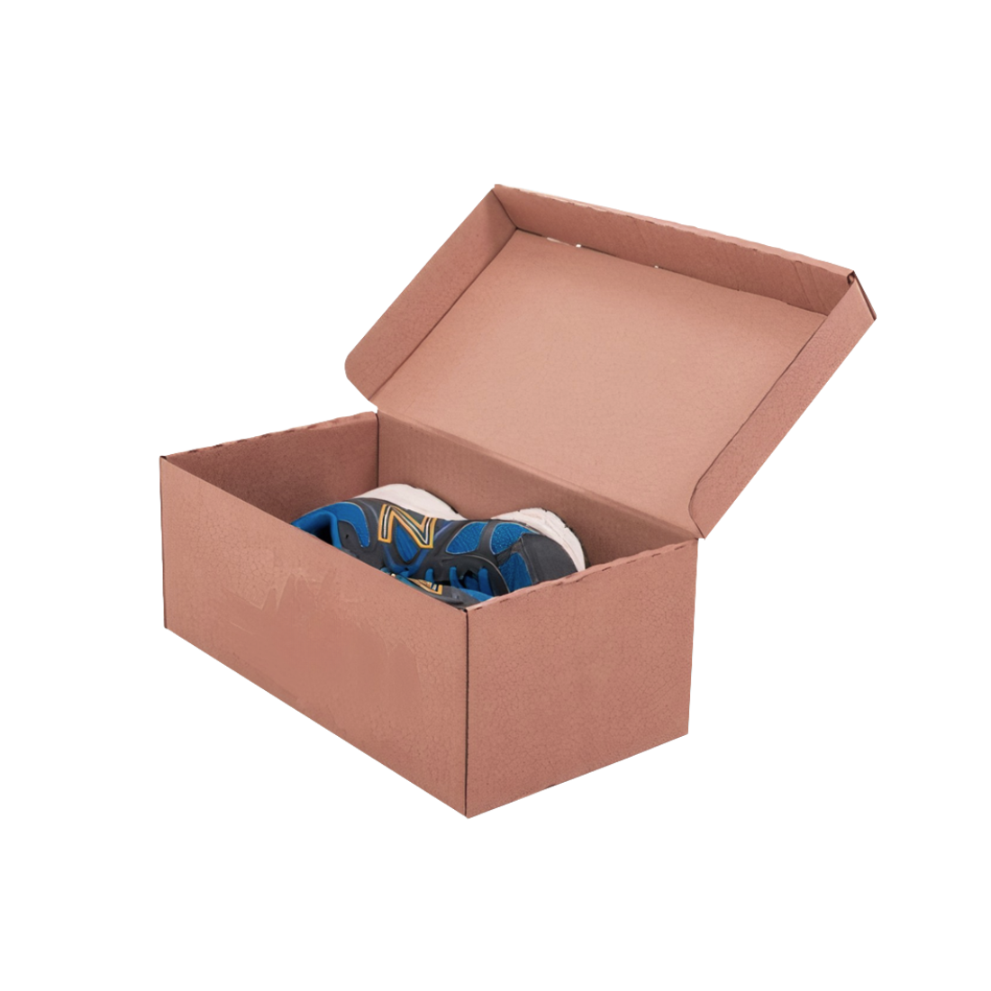 Cardboard Shoe Boxes