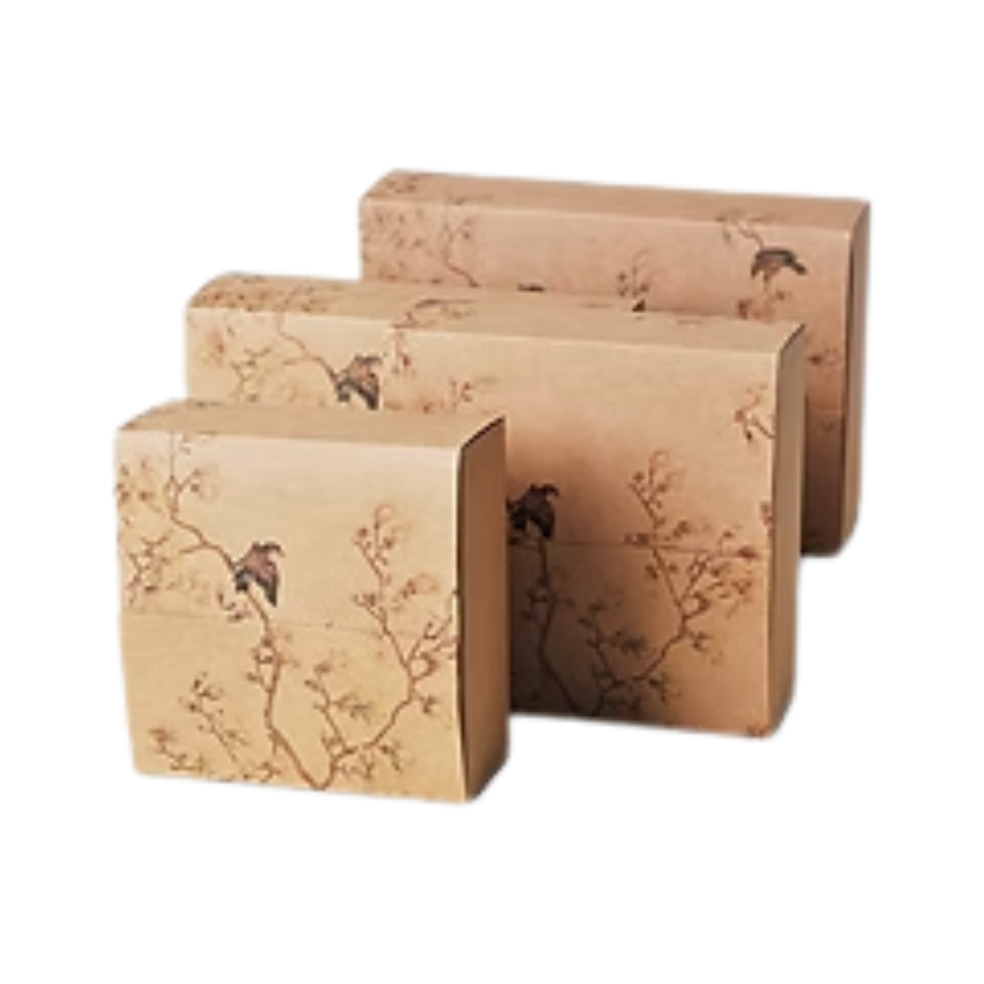 Beautiful Kraft Paper Printed Gift Boxes