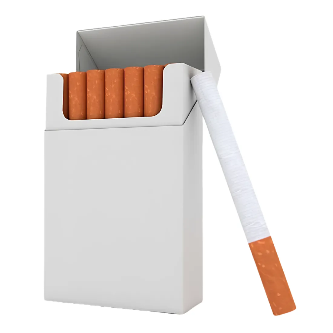 Blank Cigarette Boxes