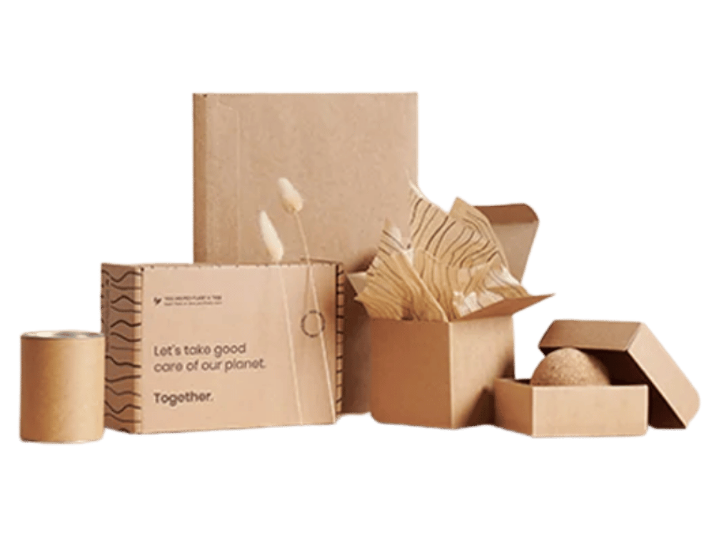 Eco-Friendly Boxes