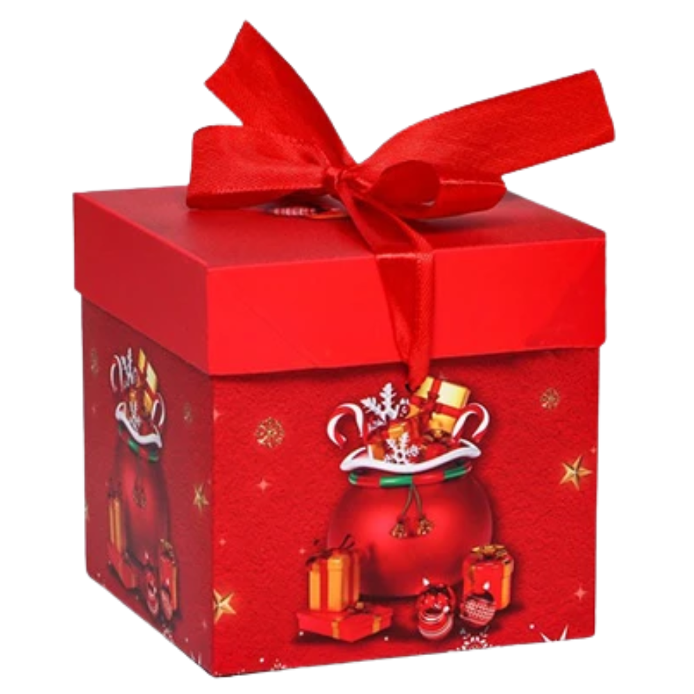 Custom Christmas Favor Boxes