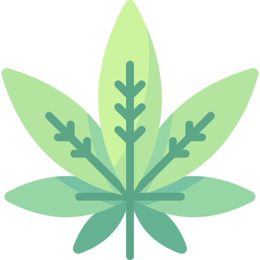 CBD Boxes