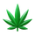 Cannabis Boxes